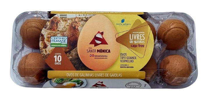 Ovos Galinha Livre